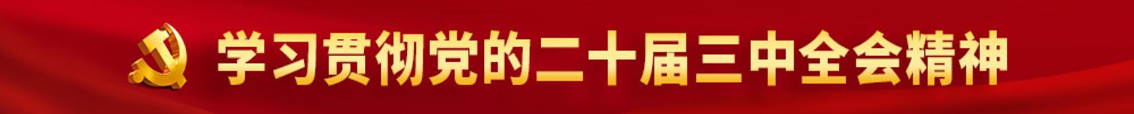 學習貫徹黨的二十屆三中全會精神